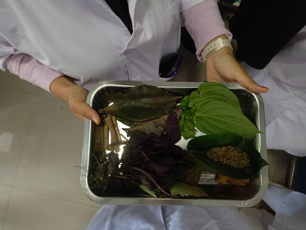 Whatsapp image 20260616 at 11 09 02 catrawarta Person holding a metal tray filled with assorted fresh and dried leaves and stems used for herbs or plants